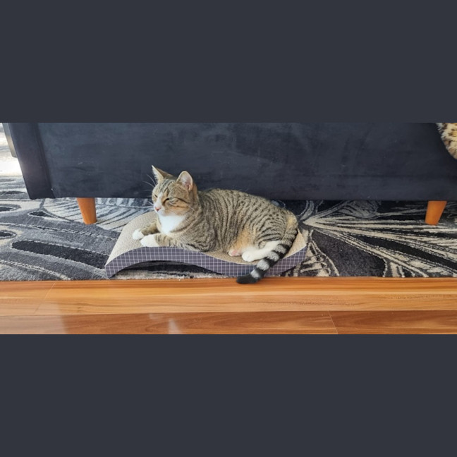 Photo of Gemma