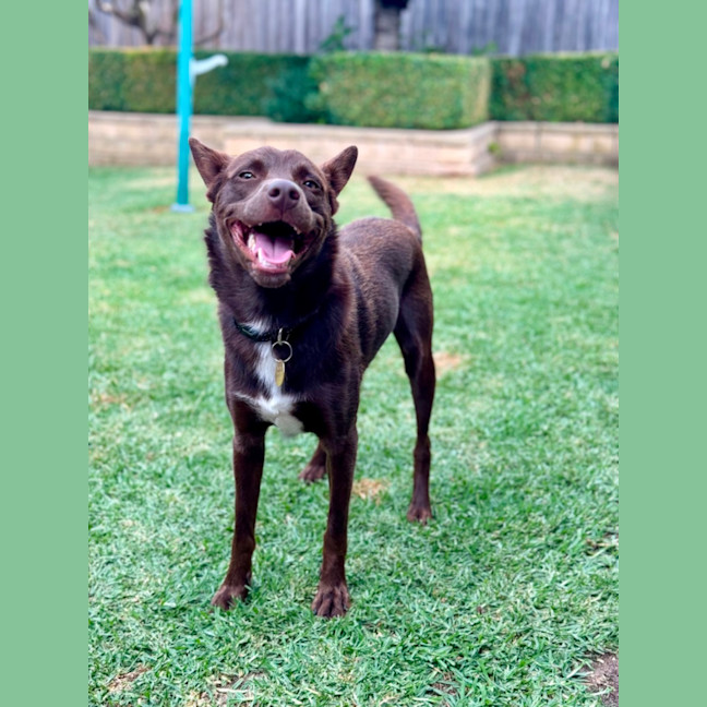 Photo of Max Brenner 🍫 