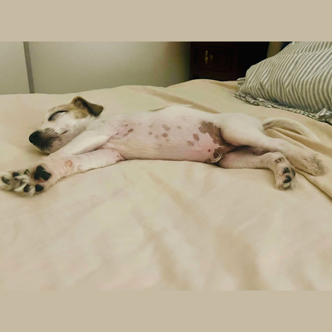 Photo of Marley Muddle