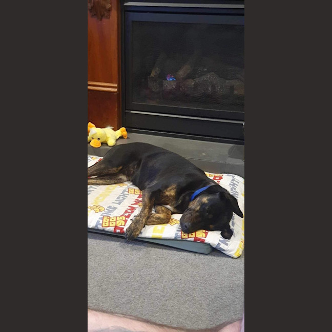 Photo of Nova