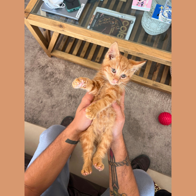 Photo of Gnocchi 