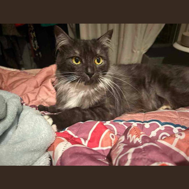 Photo of Mitzi