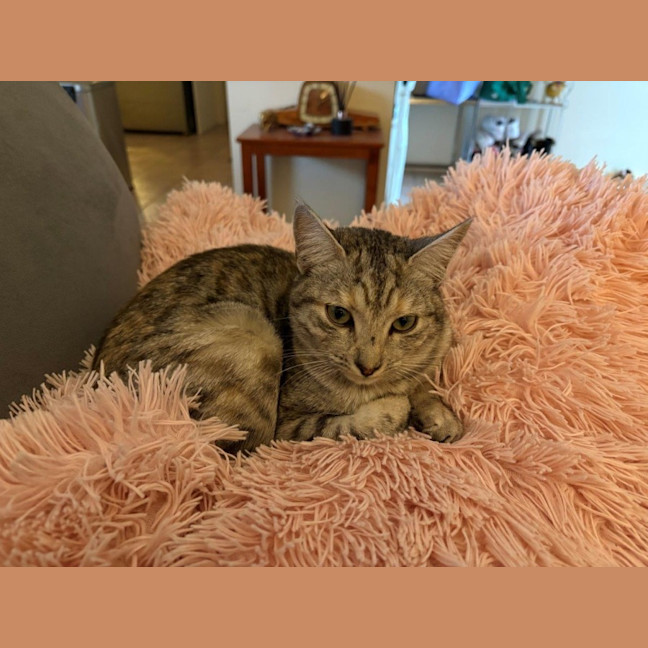 Photo of Arianna Quinnell