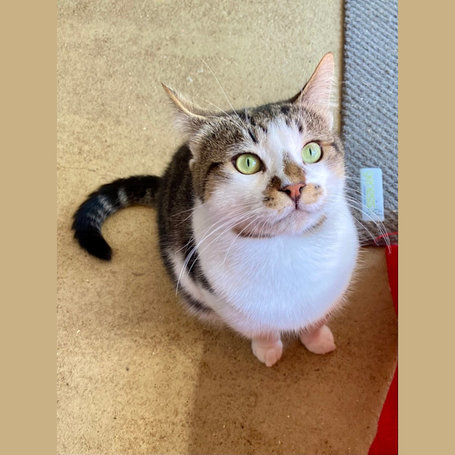 Photo of Thor. A Laugh A Minute!