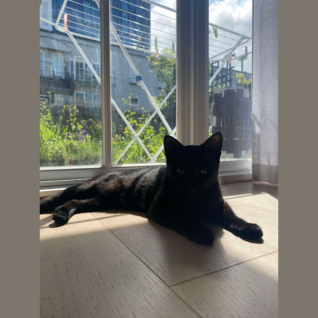 Photo of Andy