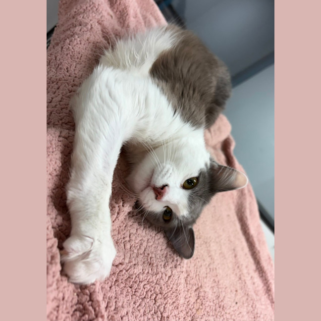 Photo of George