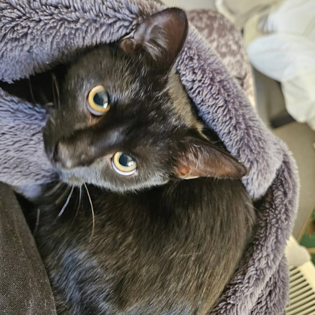 Photo of Halle Berry