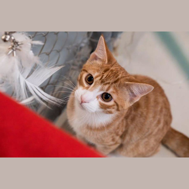 Photo of Diego Moriarty