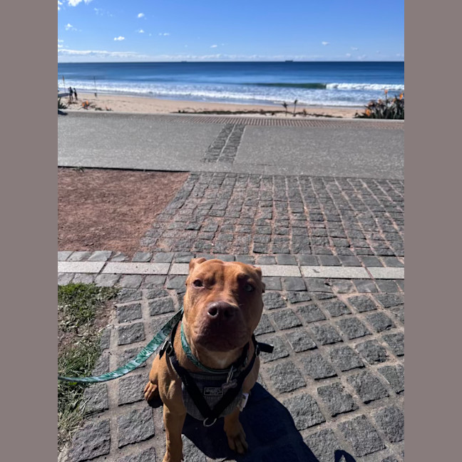 Photo of Lucy