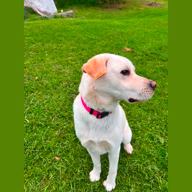 Photo of Happy