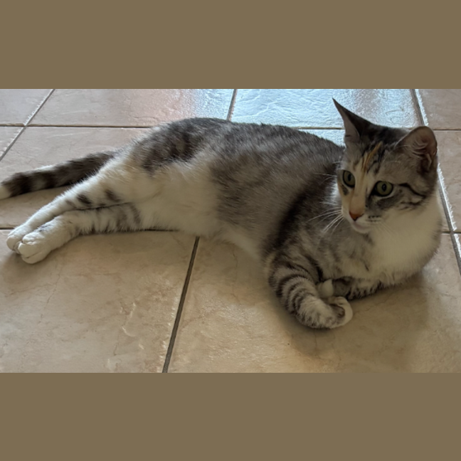 Photo of Happy