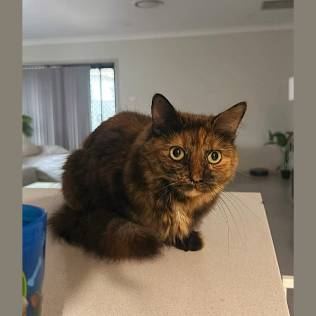 Photo of Kleo