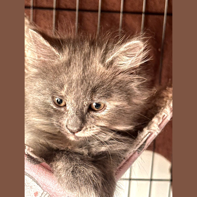 Photo of Binx Clarke