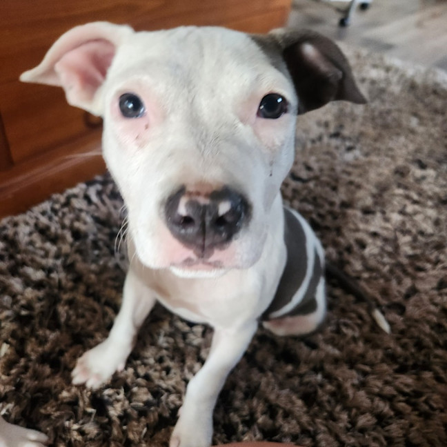 Photo of Solar (67646)