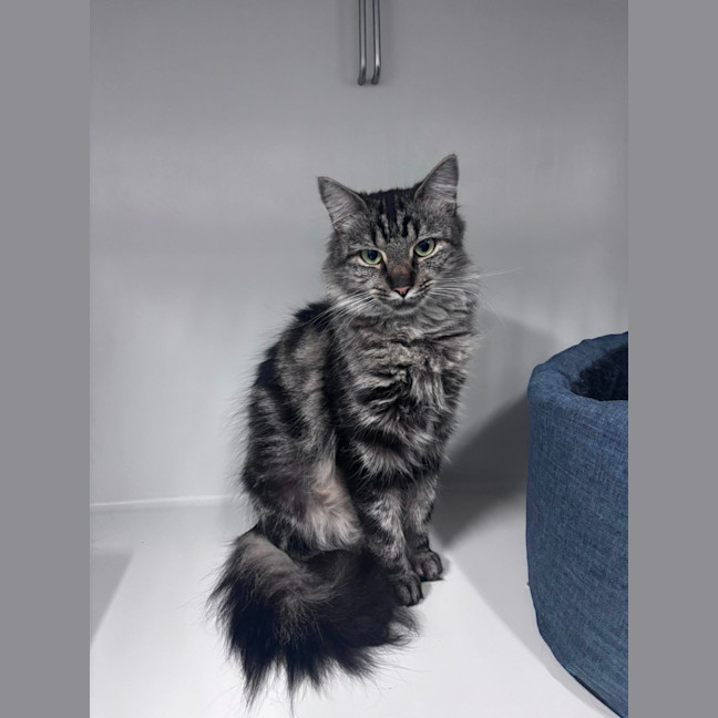 Photo of Mitzi