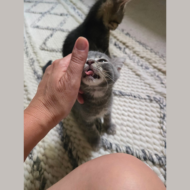 Photo of 🧡 Magnus 🧡