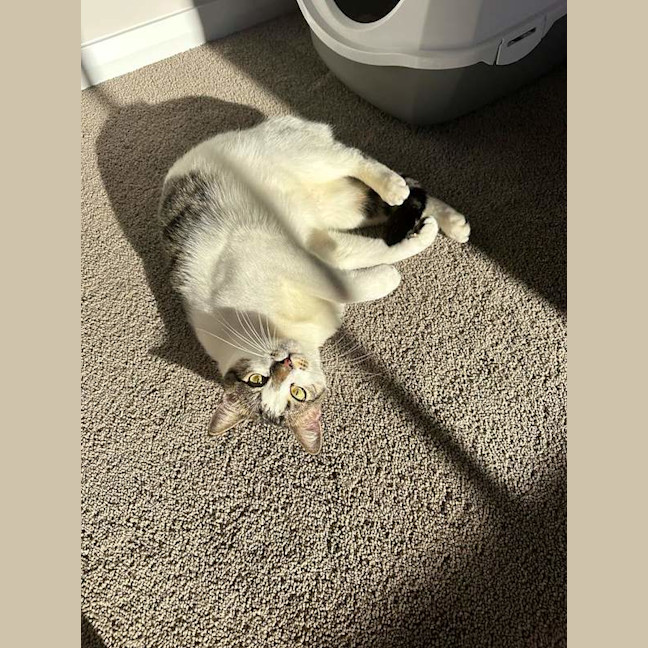 Photo of Yuki
