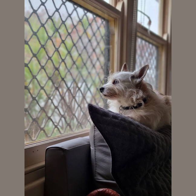 Photo of Jack And Sunny