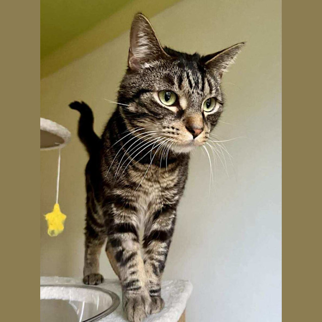 Photo of Jeff   In Foster Care In Doncaster East