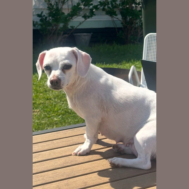 Photo of Daisy🌼