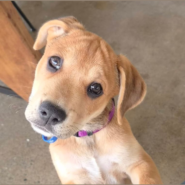 Photo of Gabby