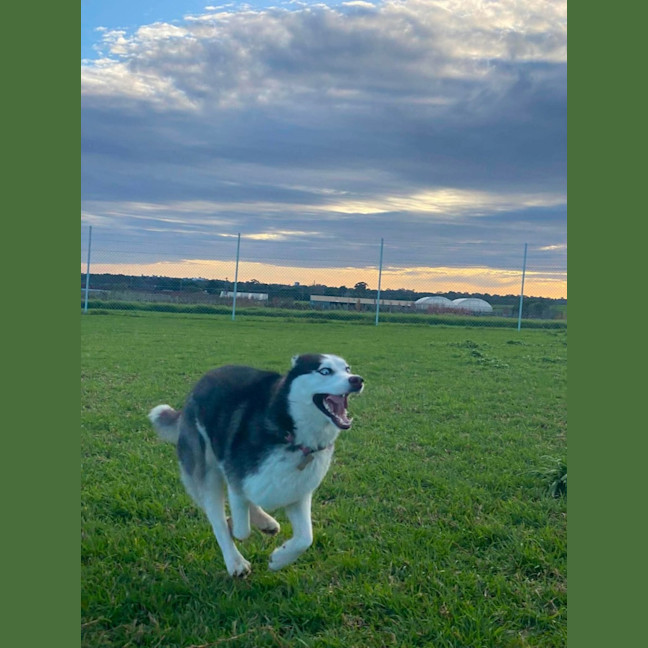 Photo of Athena