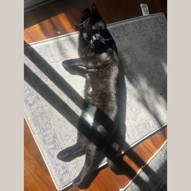 Photo of Slinky Malinky