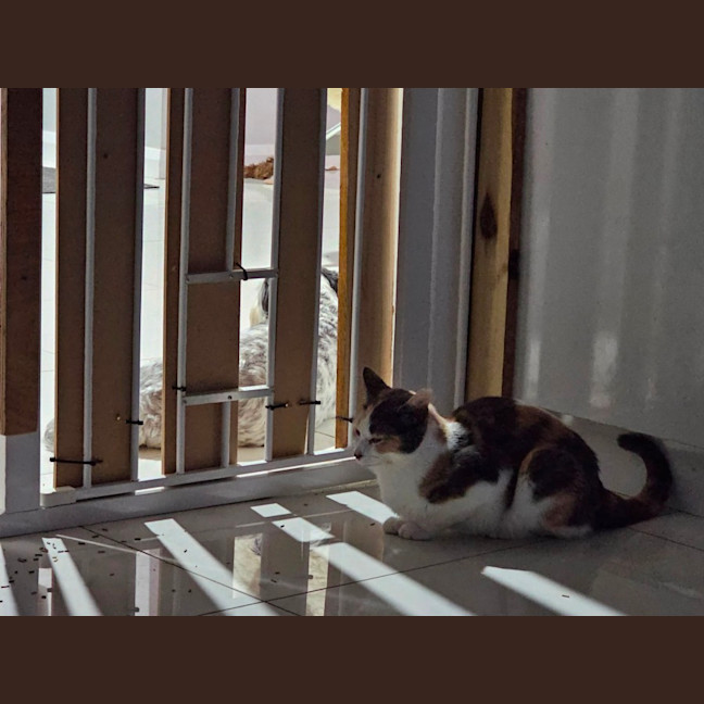 Photo of Jessica 