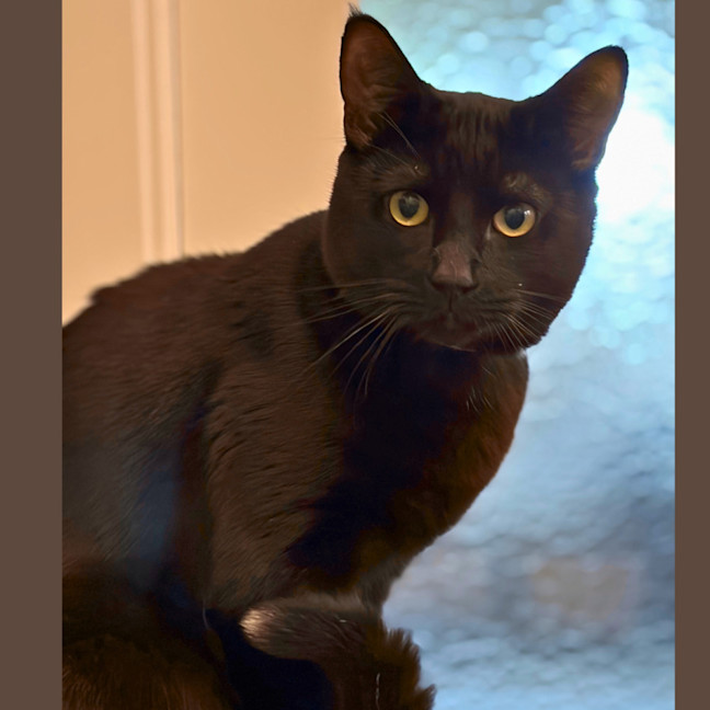 Photo of Lord Luna