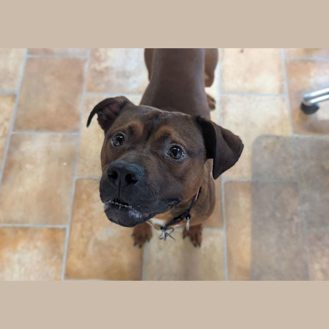 Photo of Roo