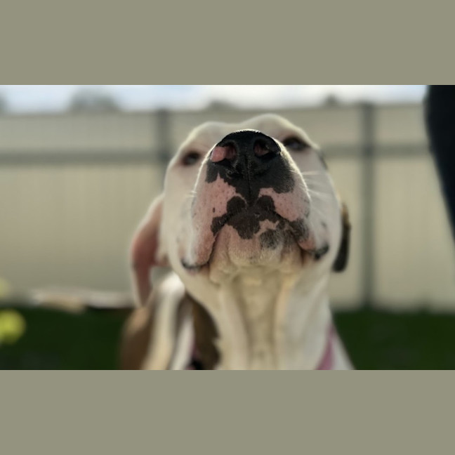 Photo of Wilma