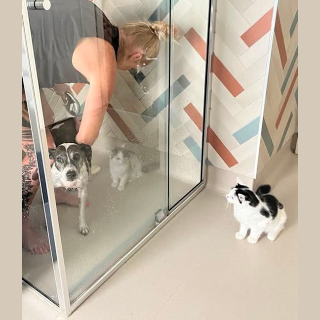 Photo of Acorn & Macadamia 