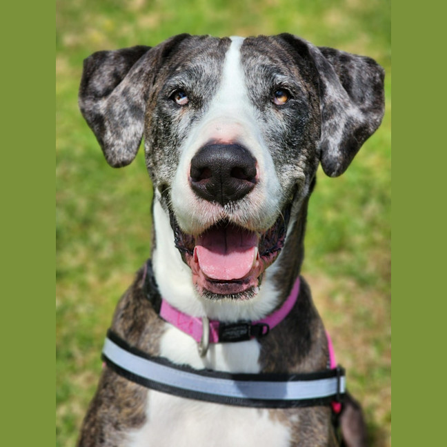 Photo of 🎭 Wednesday 6534 🎭