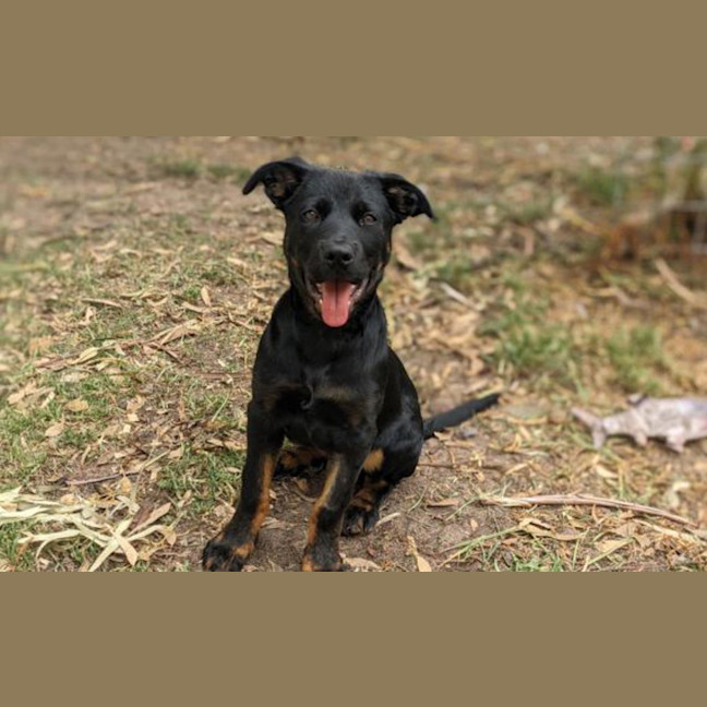 Photo of Ramona