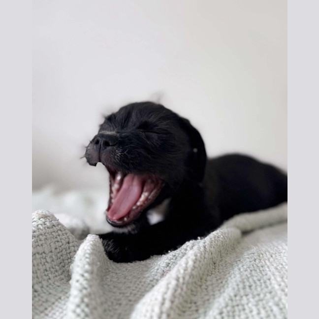 Photo of Sisko