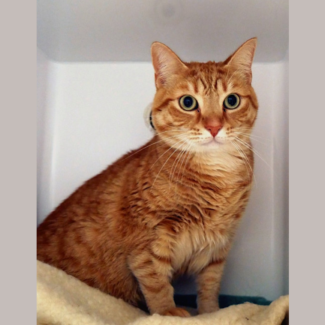 Photo of Bert Sua014687