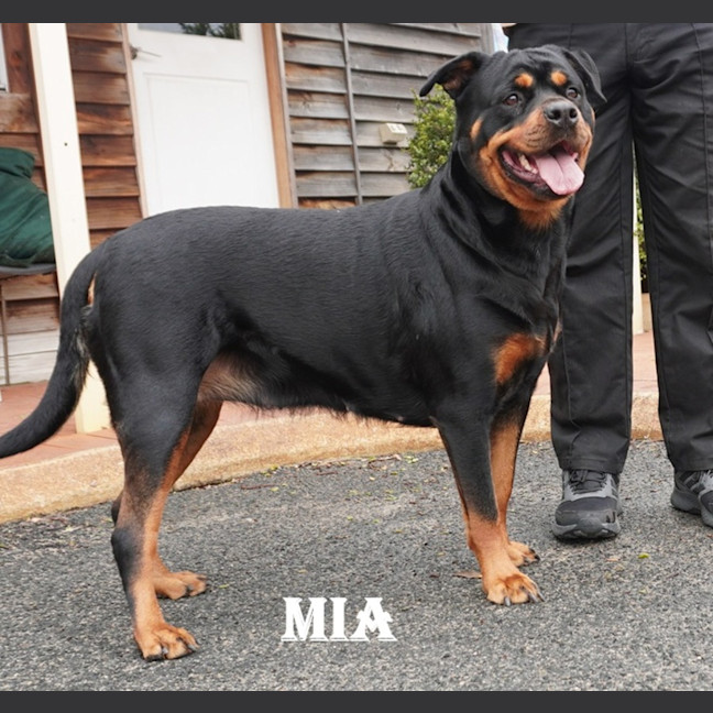 Photo of Mia