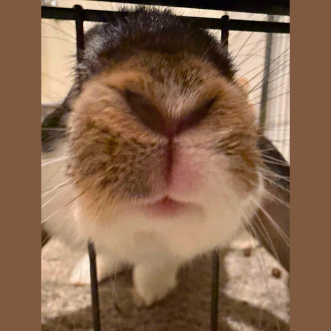 Photo of Samuel