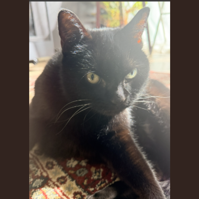 Photo of Suzie
