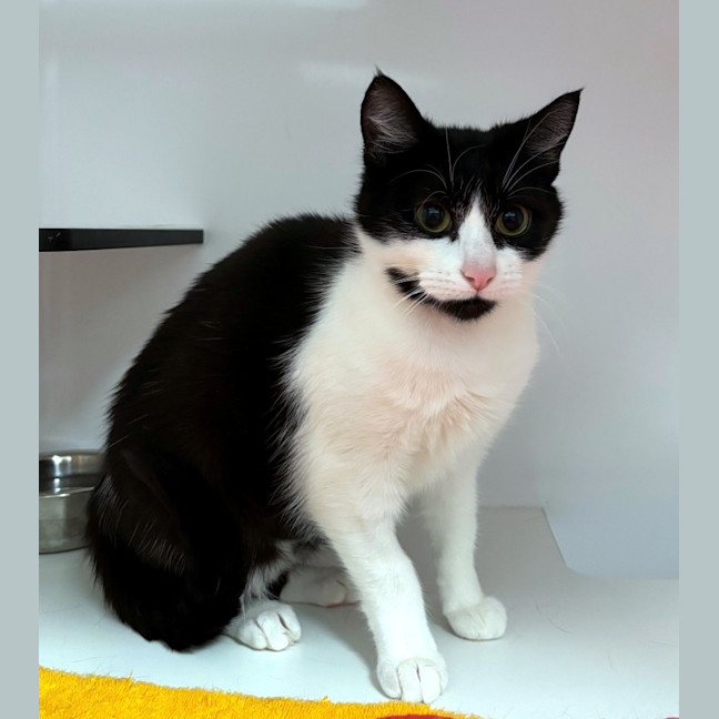 Photo of Samaira Sta014193