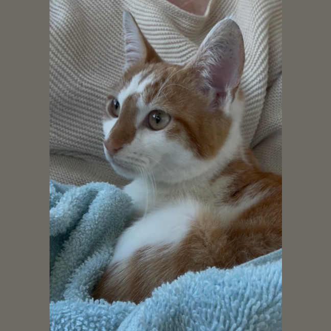 Photo of Tommy Tucker