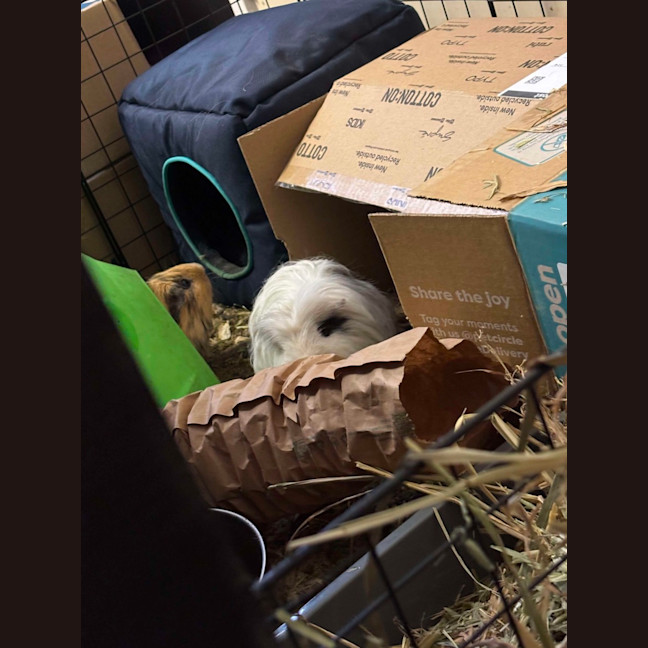 Photo of Peter & Pascal