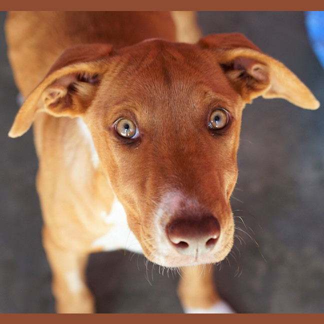 Photo of Matilda