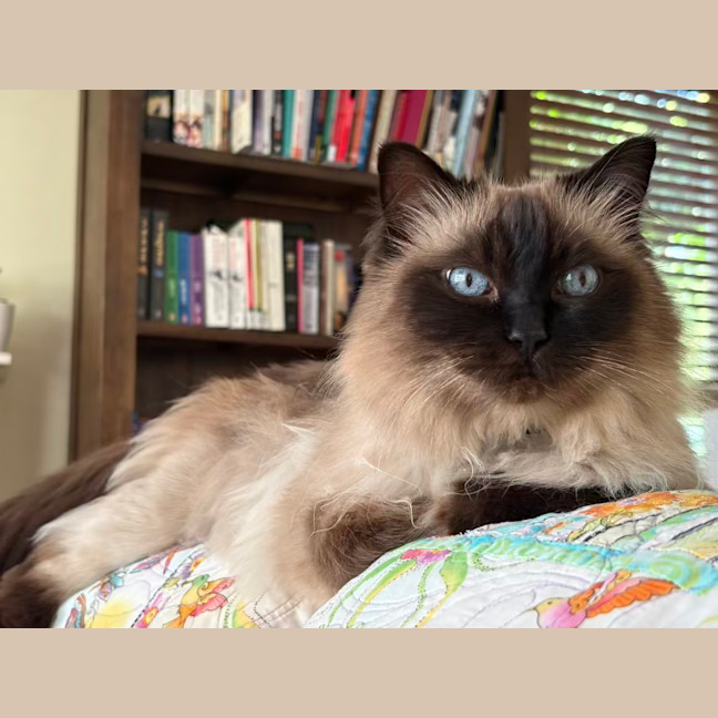 Photo of Kiki