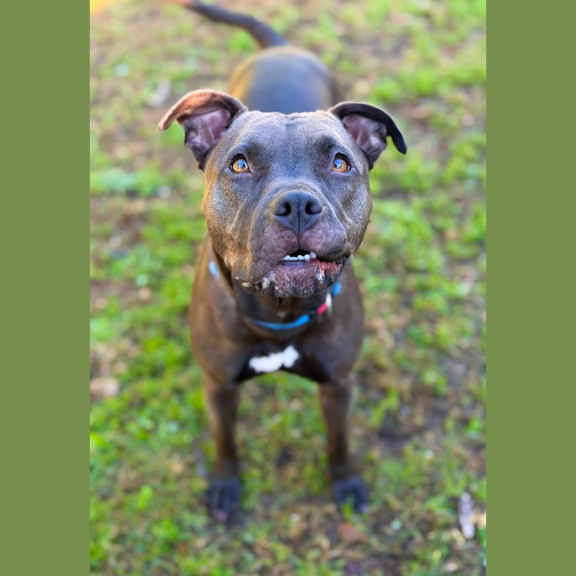 Photo of Bindi 