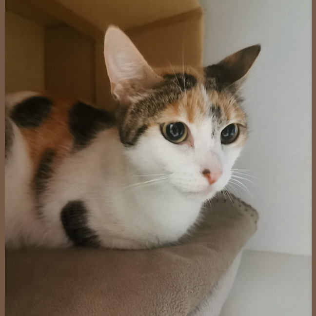 Photo of Molly