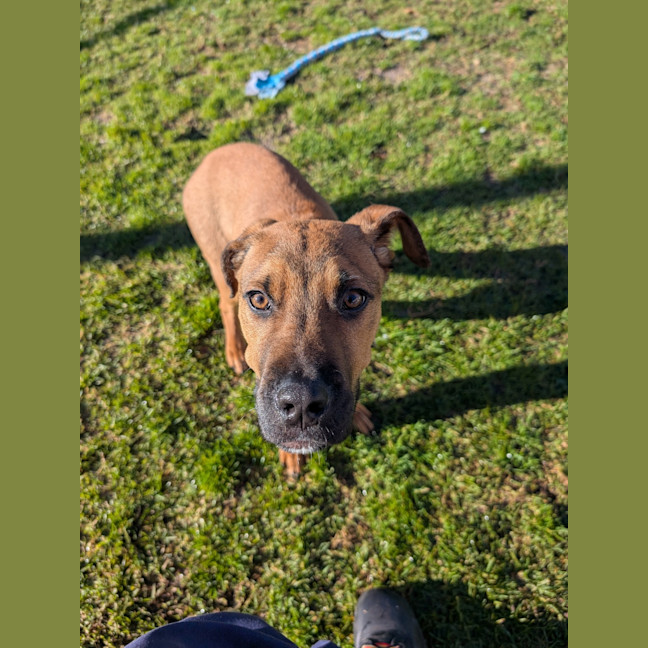 Photo of Bruce