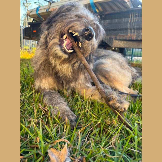 Photo of Mason