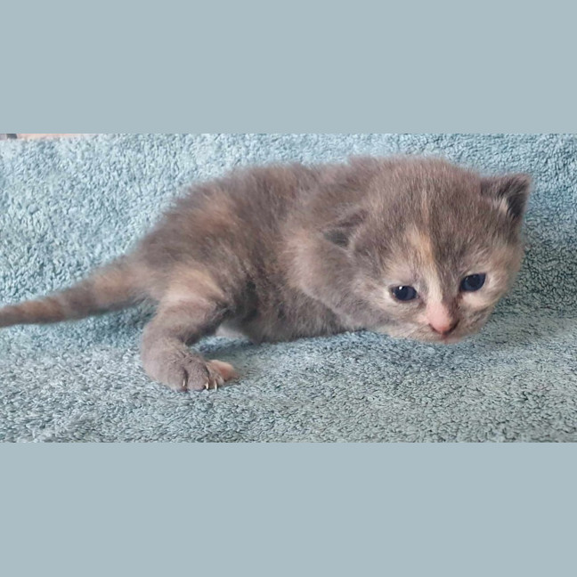 Photo of Buttons   Lcated In Somerville
