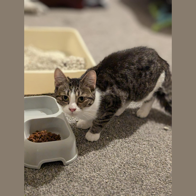 Photo of Kiki (Aka Heiki)